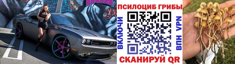 МЕГА   Дзержинский  Галлюциногенные грибы мицелий 