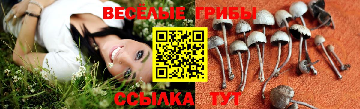 Галлюциногенные грибы мицелий  Галлюциногенные грибы мухоморы  Вход с VPN  Дзержинский 
